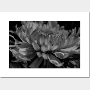 Black and White Mum Posters and Art